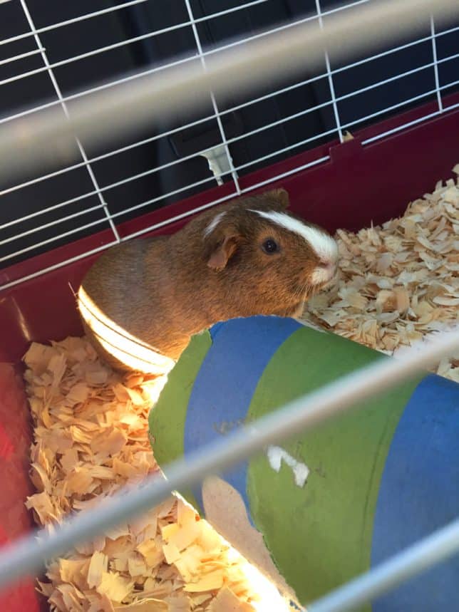 50 IS NOT OLD | CELEBRATING HALLOWEEN EARLY