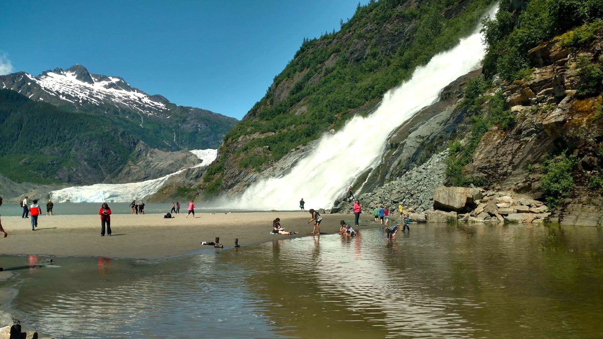 50 IS NOT OLD | STANDING IN A FIELD OF LUPINE