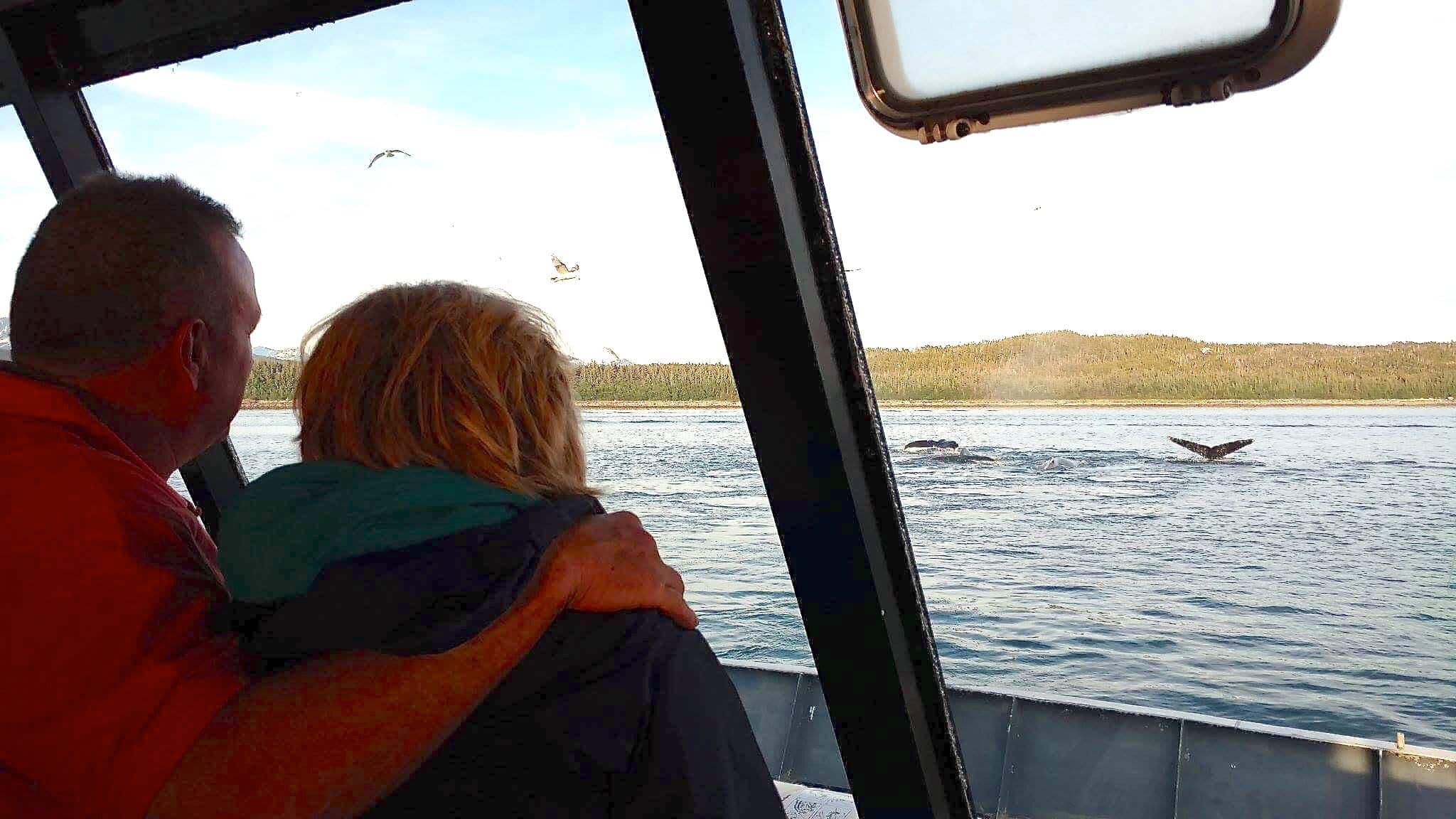 50 IS NOT OLD | STANDING IN A FIELD OF LUPINE