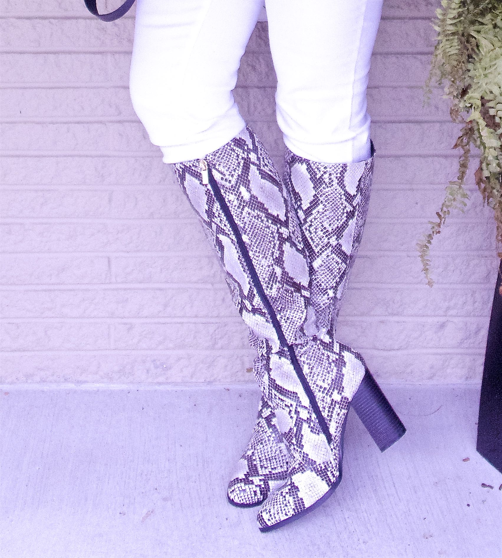 50 IS NOT OLD | ANIMAL PRINT OVER 50