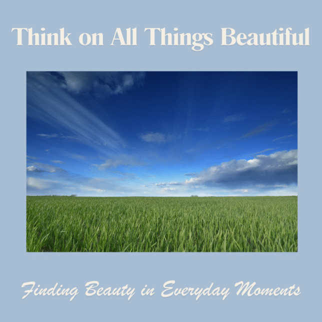 Fields of grain is a good reminder to think on all things beautiful