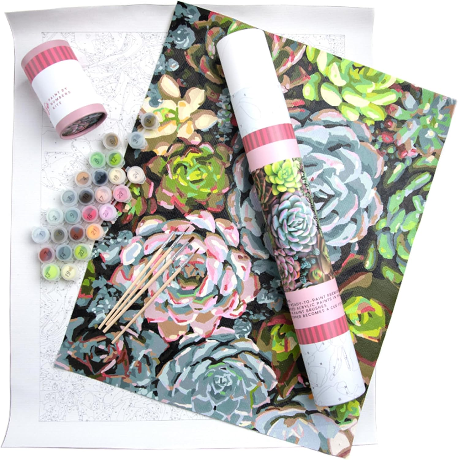 Succulents Floral Paint by Number for Adults