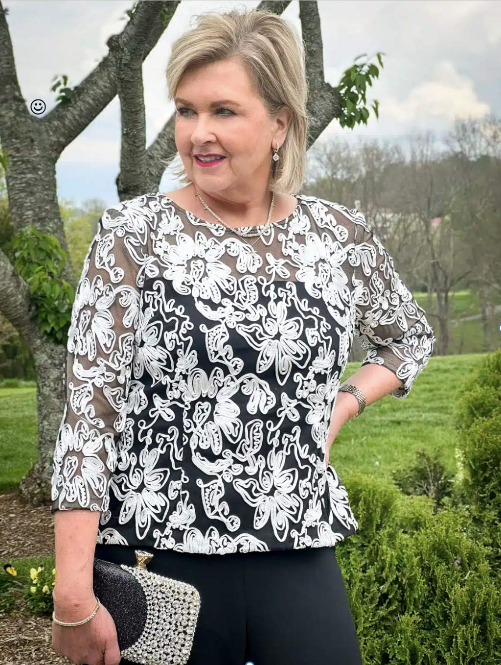 Alex Evening top with a black and rhinestone evening clutch