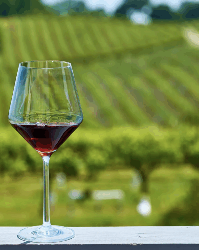 A glass of wine in front of a vineyard - Here's what to wear to one.