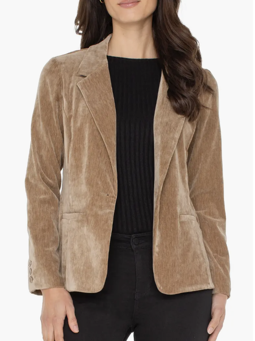 Liverpool Los Angeles Fitted Velvet Blazer, Fall 2025 Clothing from Nordstrom