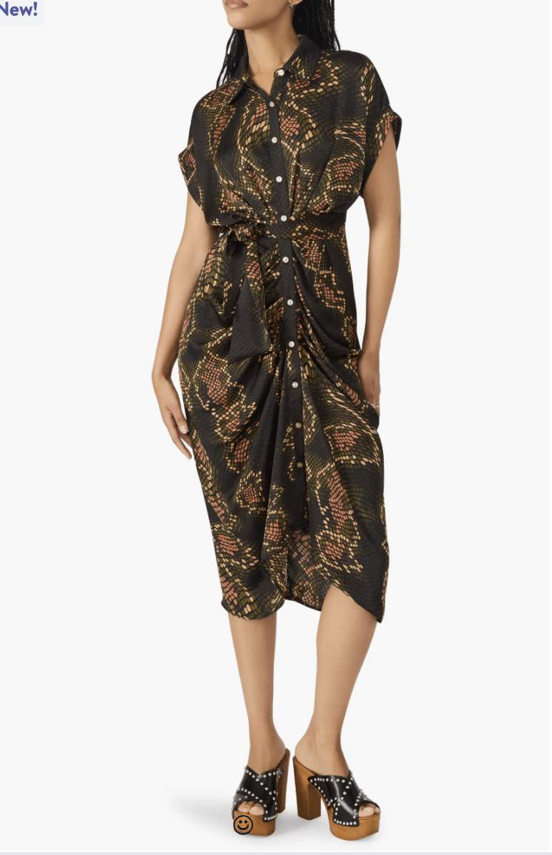 Tori Abstract Print Shirtdress from Nordstrom