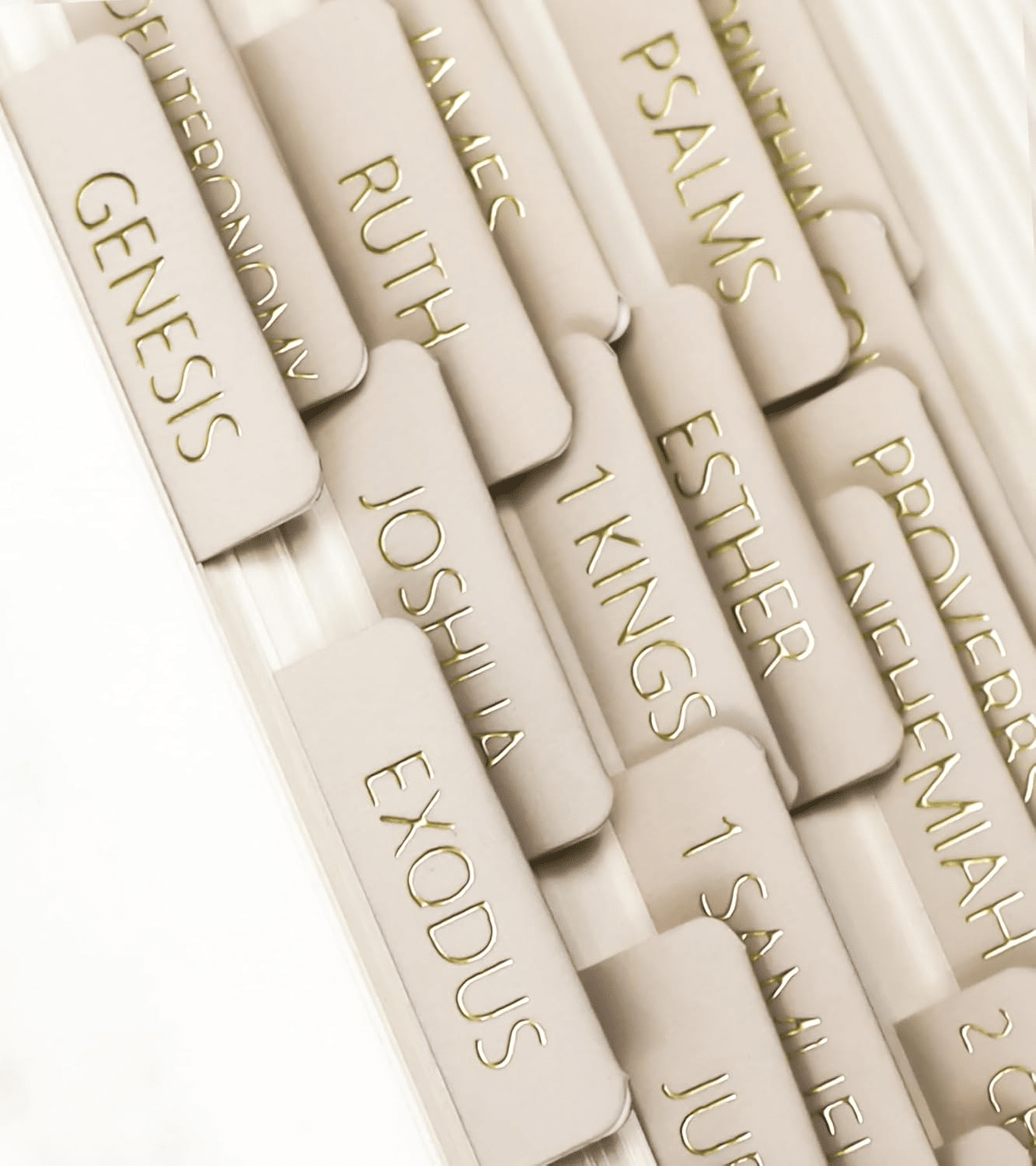Books of the bible tabs for bible study