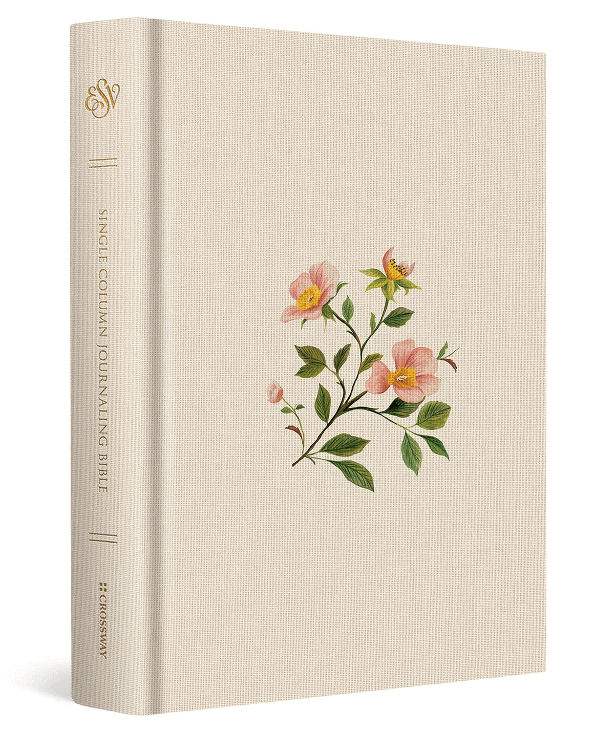 ESV Journaling Bible from Amazon
