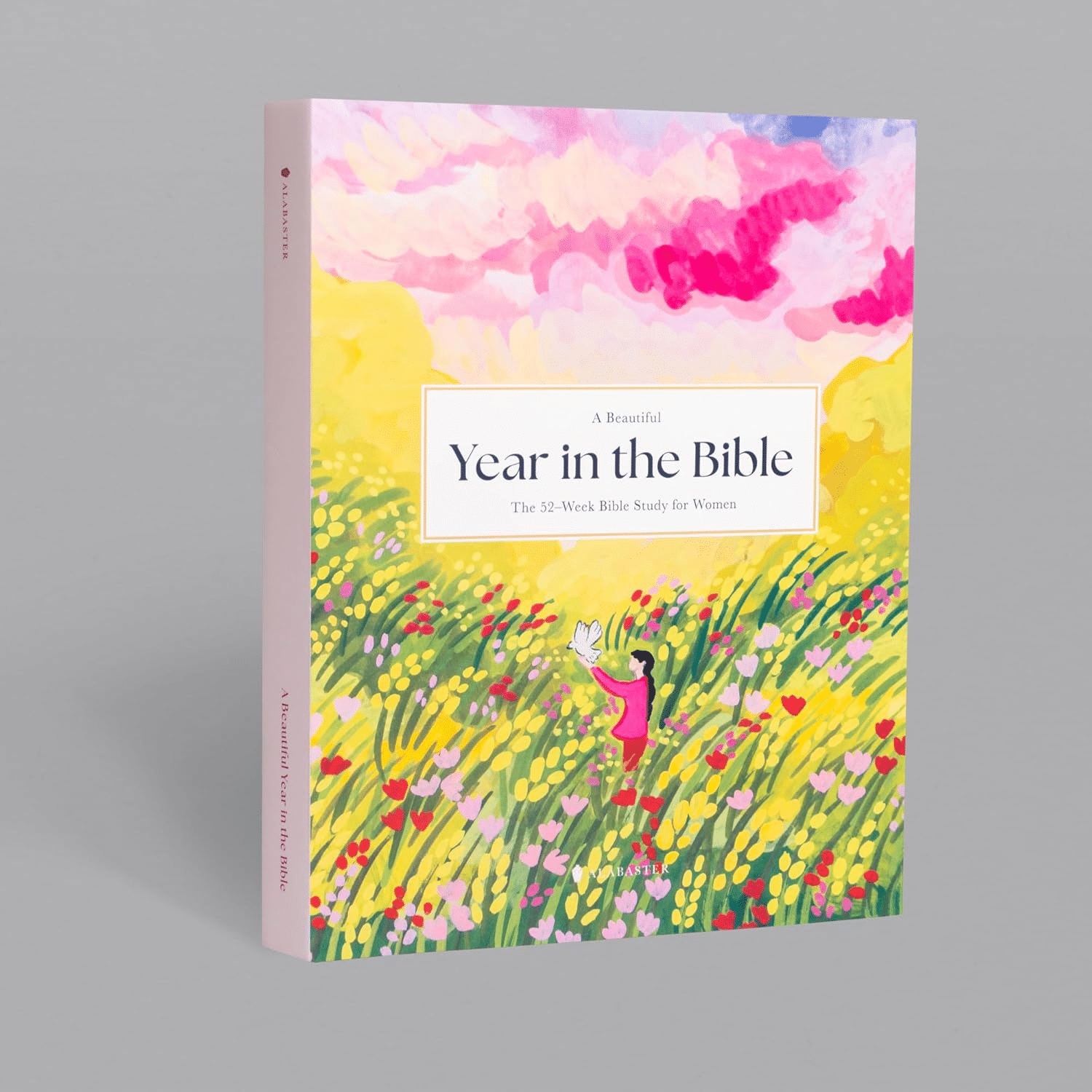 A Year in the Bible Study for Women Gifts from Amazon for Christian Women