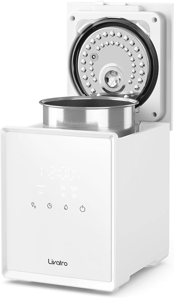 How to Choose the Right Humidifier for Your Home in Winter 50 is not old fashion blogger tania stephens stainless steel