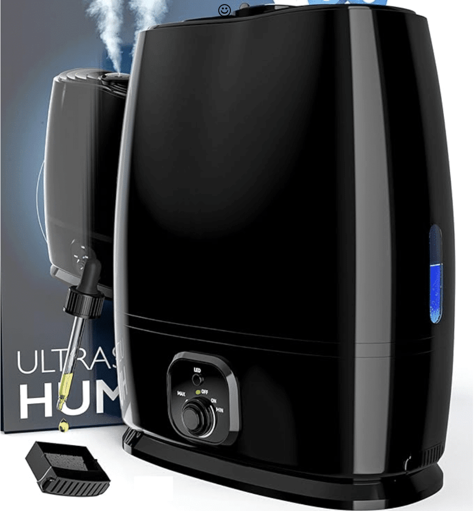 How to Choose the Right Humidifier for Your Home in Winter 50 is not old fashion blogger tania stephens everlasting