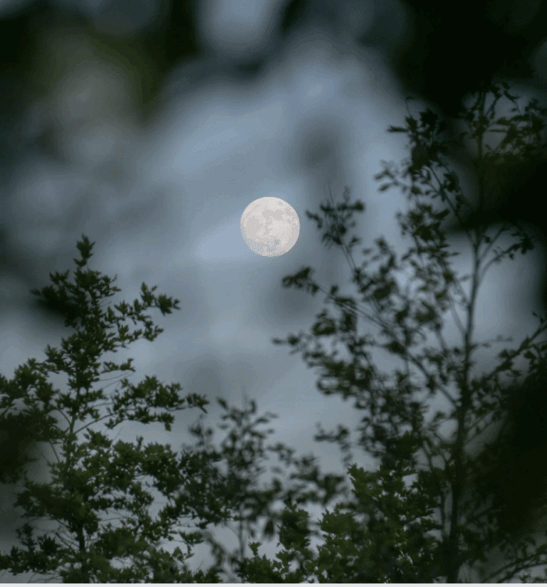 full moon on a cloudy night