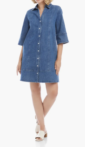 Flare Sleeve Denim Shirtdress