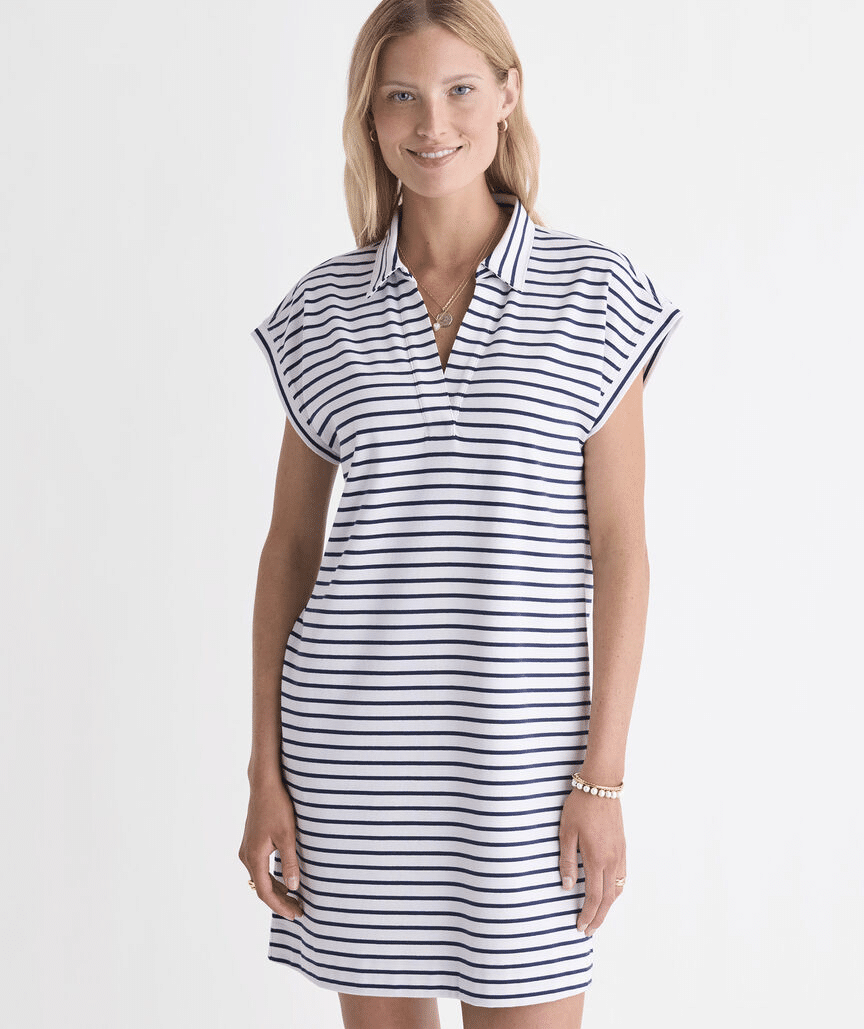 striped margo shirtdress in blue and white