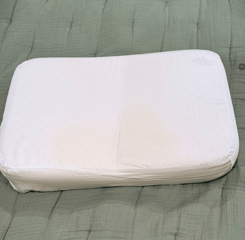Envy Pillow with copper pilkwcase