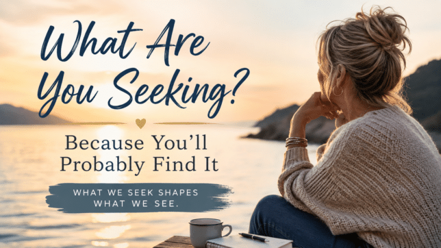 What are you seeking graphic