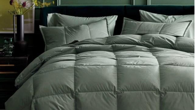 Tania's new down comforter started her bedroom refresher