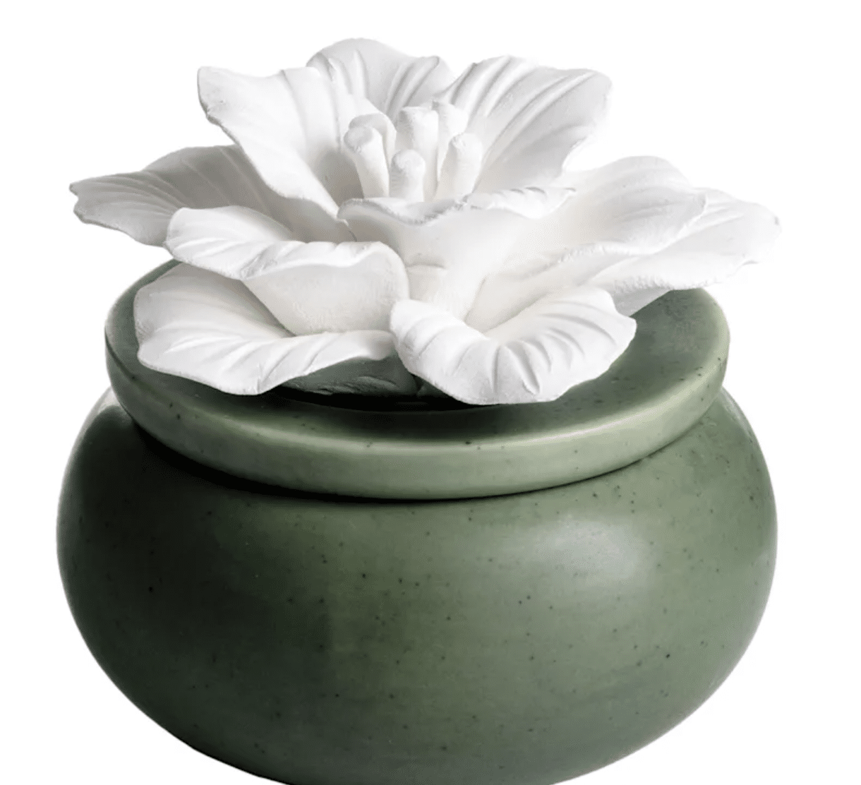 Porcelain Aroma Diffuser With Eucalyptus Bloom
